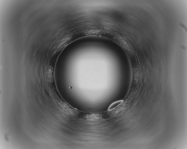 X0000097300378200802151444
