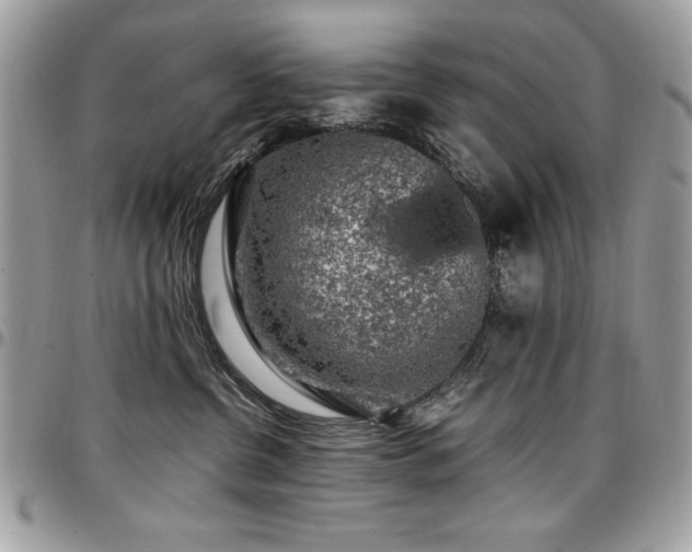 X0000097300380200802151444