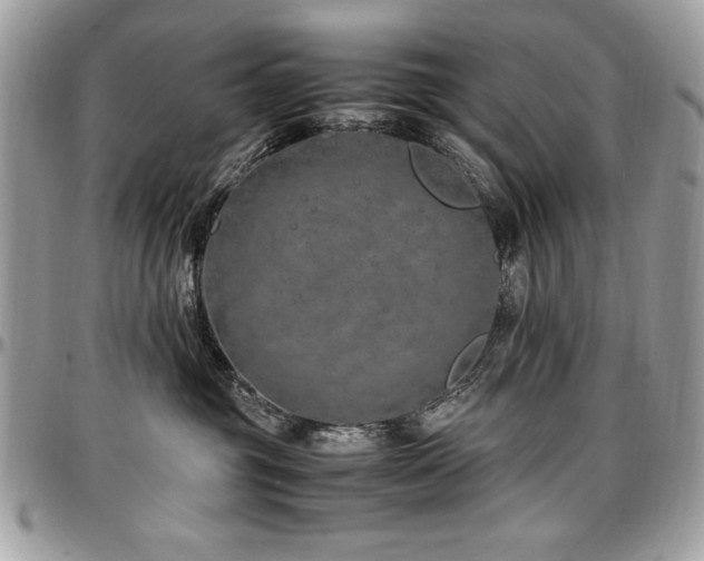 X0000097300381200802151444
