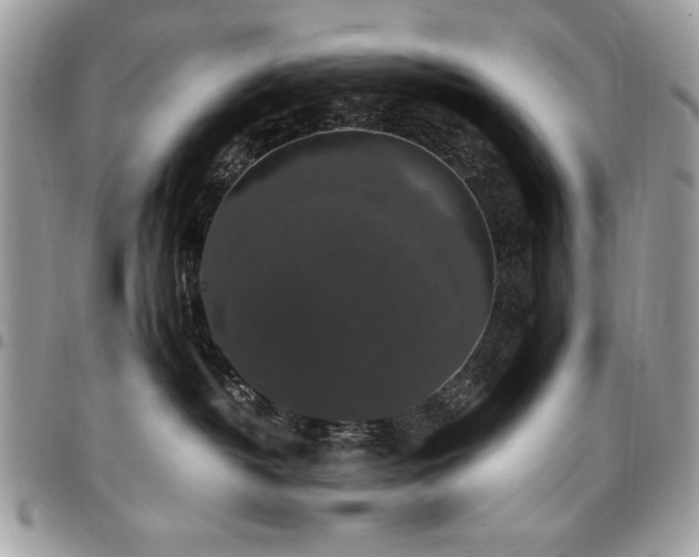 X0000097300382200802151444