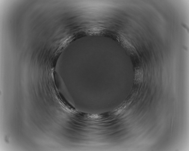 X0000097300383200802151444