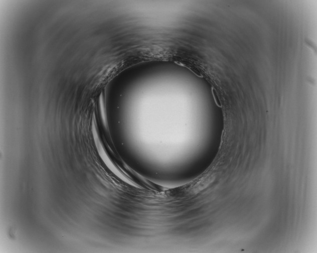 X0000097300384200802151444