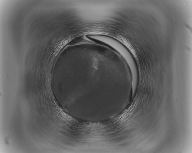 X0000097300385200802151444