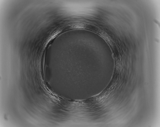 X0000097300386200802151444