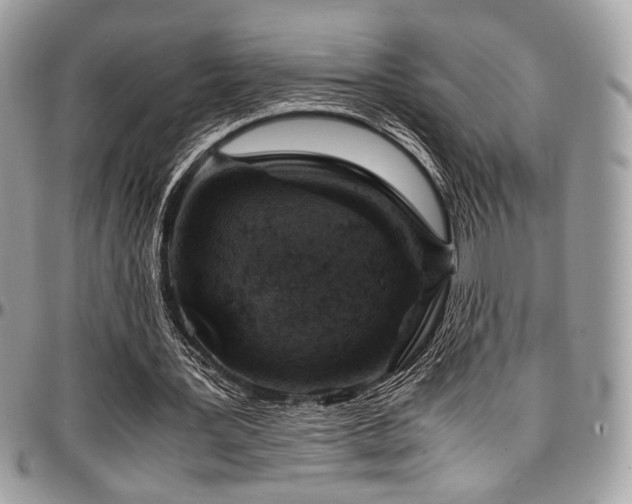 X0000097300387200802151444