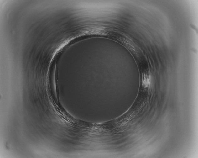 X0000097300388200802151444