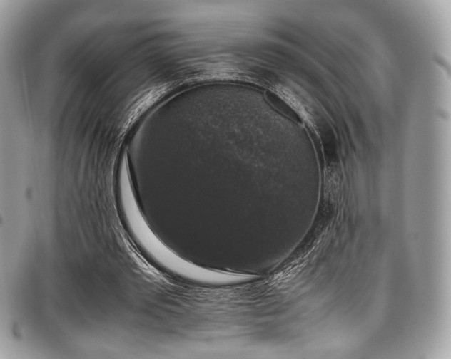 X0000097300389200802151444