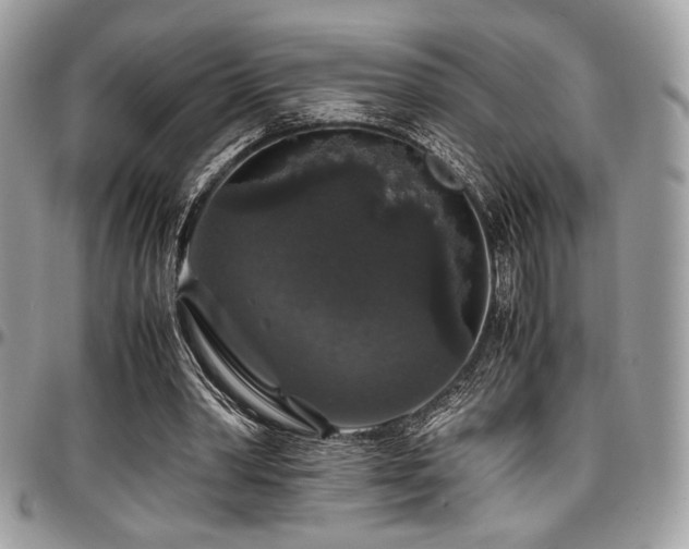 X0000097300390200802151444