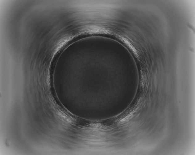 X0000097300391200802151444