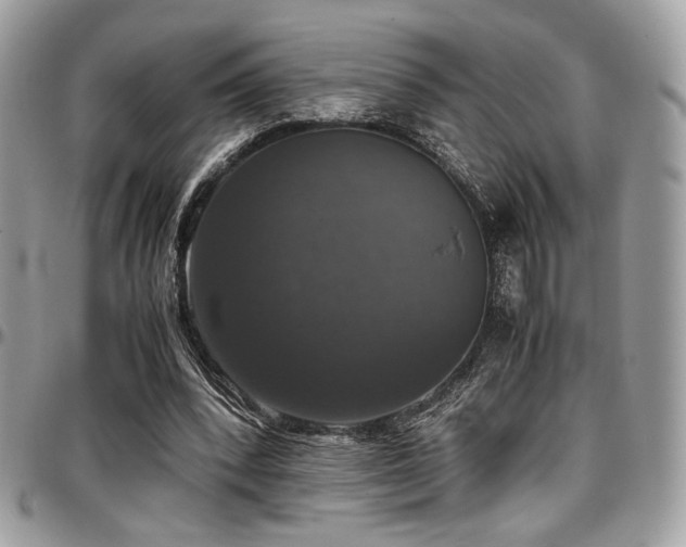 X0000097300392200802151444