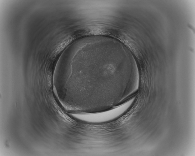 X0000097300393200802151444