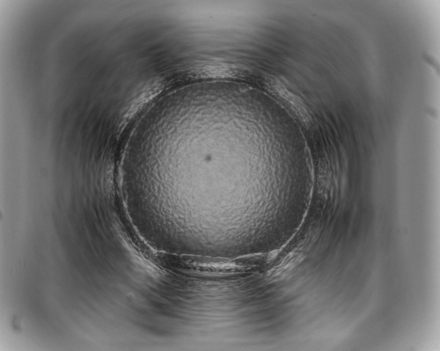 X0000097300394200802151443