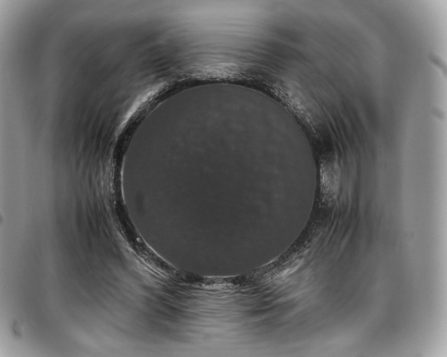 X0000097300396200802151443