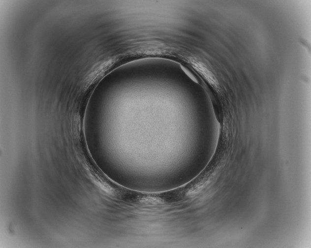 X0000097300397200802151443