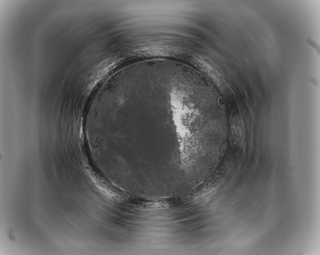 X0000097300398200802151443