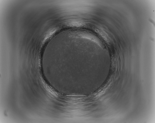 X0000097300399200802151443