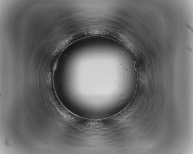 X0000097300401200802151443