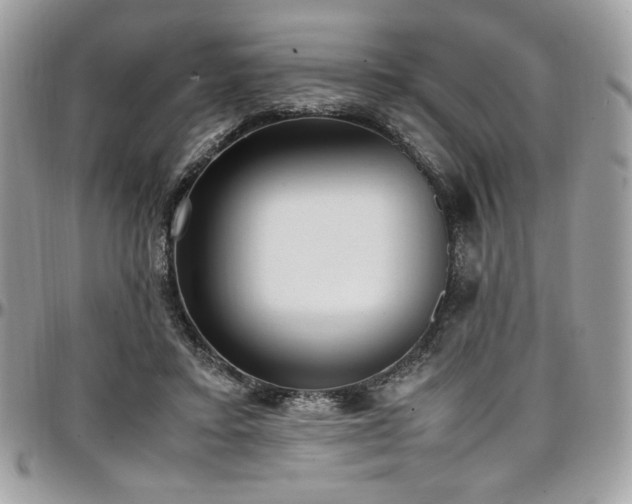 X0000097300403200802151443