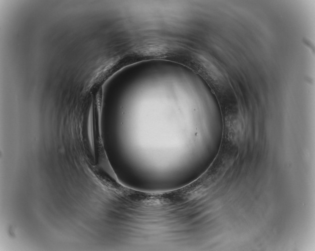 X0000097300404200802151443