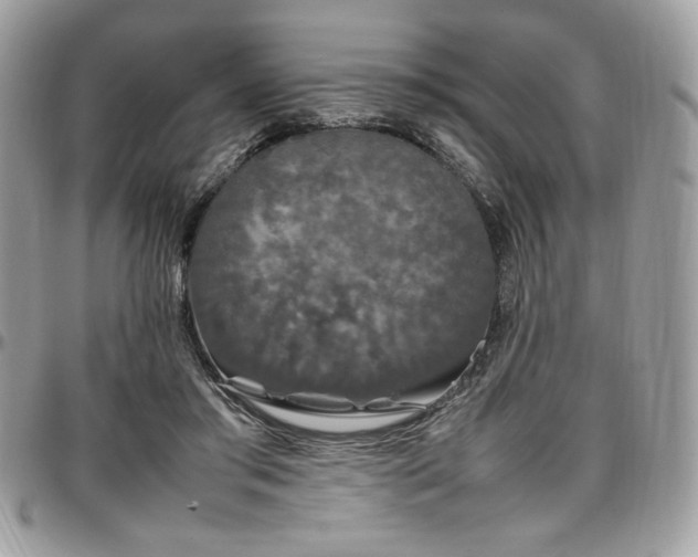 X0000097300405200802151443