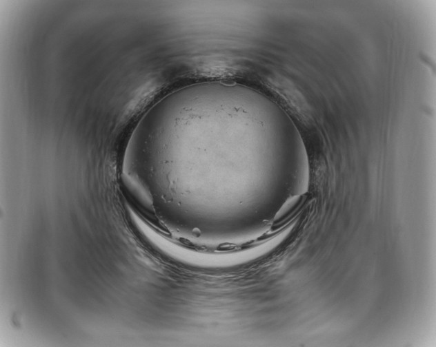 X0000097300407200802151443