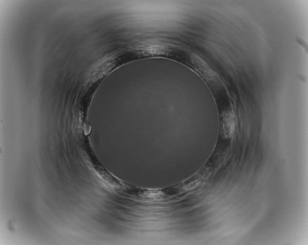 X0000097300410200802151443