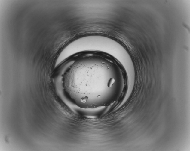 X0000097300411200802151443