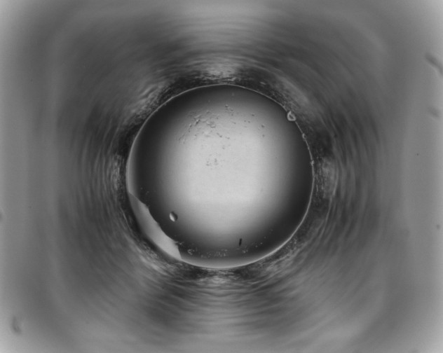 X0000097300412200802151443