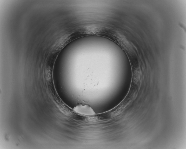 X0000097300413200802151443