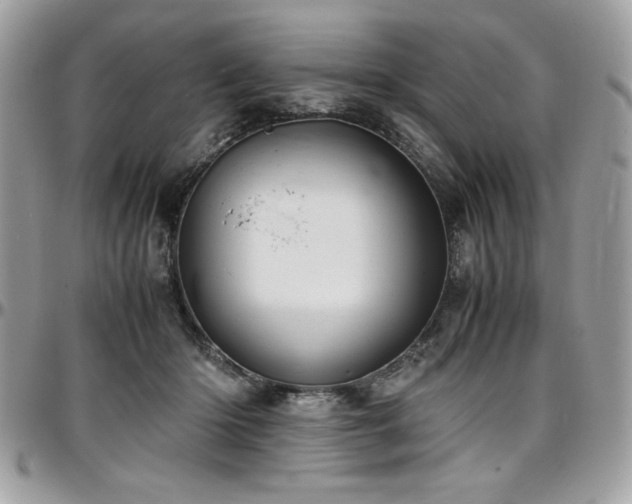 X0000097300414200802151443