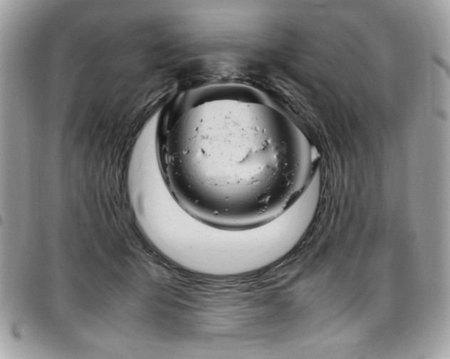 X0000097300415200802151443