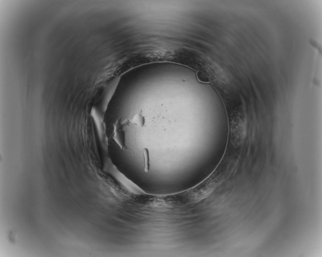 X0000097300416200802151443
