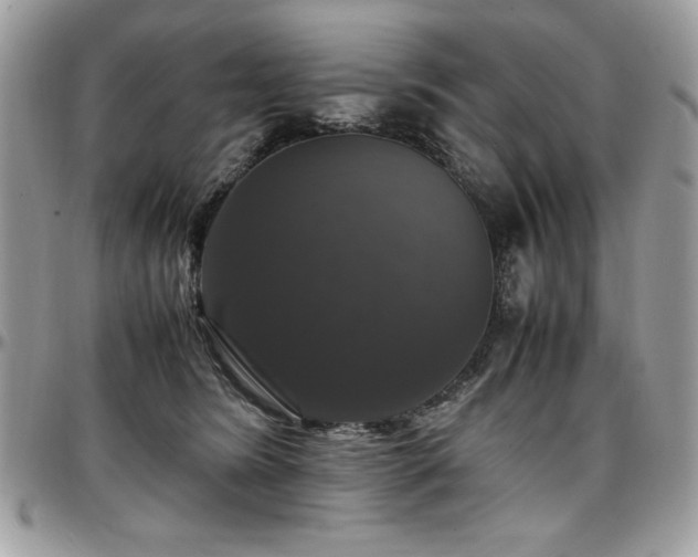 X0000097300420200802151443