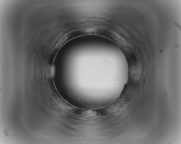 X0000097300421200802151443
