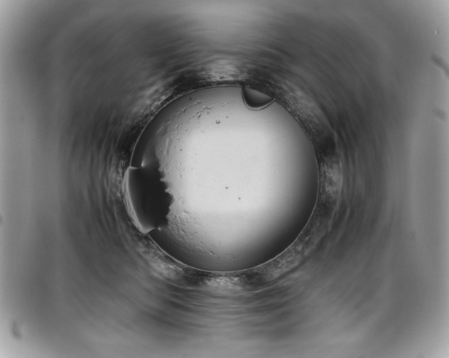 X0000097300422200802151443