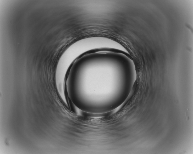 X0000097300423200802151443
