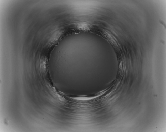 X0000097300424200802151443