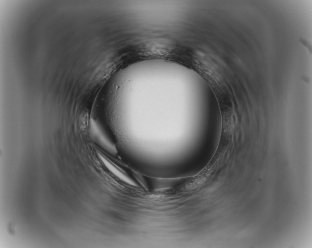 X0000097300425200802151443