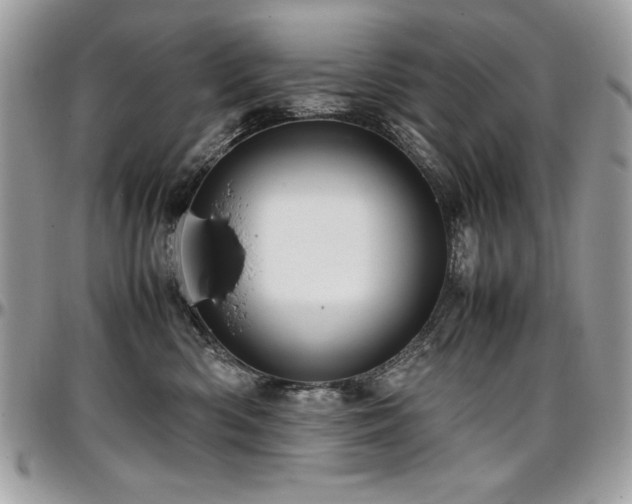 X0000097300426200802151443