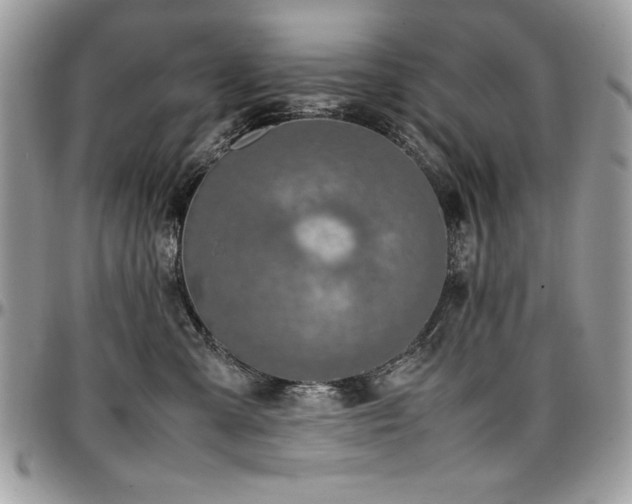 X0000097300427200802151443