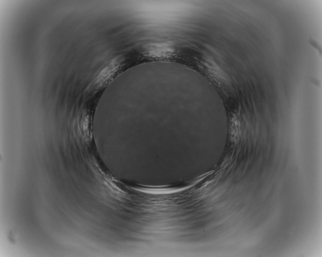 X0000097300428200802151443