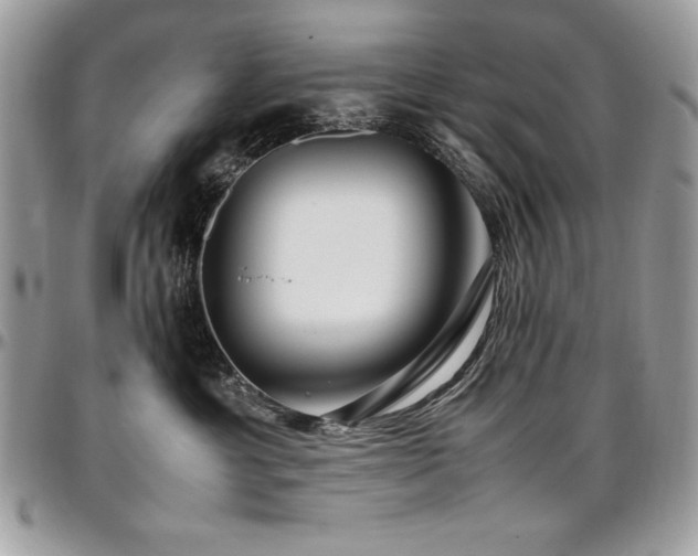 X0000097300429200802151443