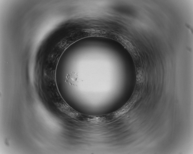 X0000097300430200802151443