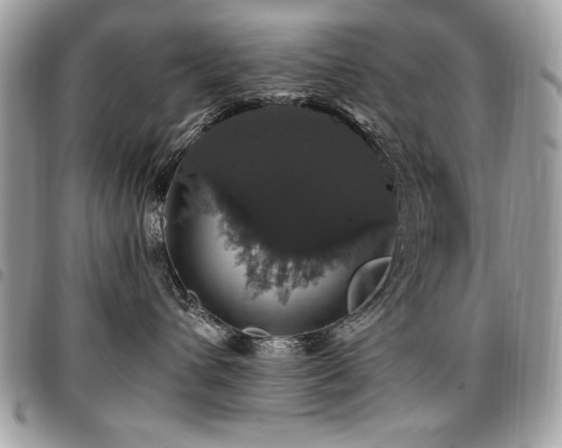 X0000097300432200802151443
