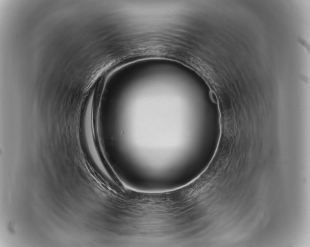 X0000097300434200802151442