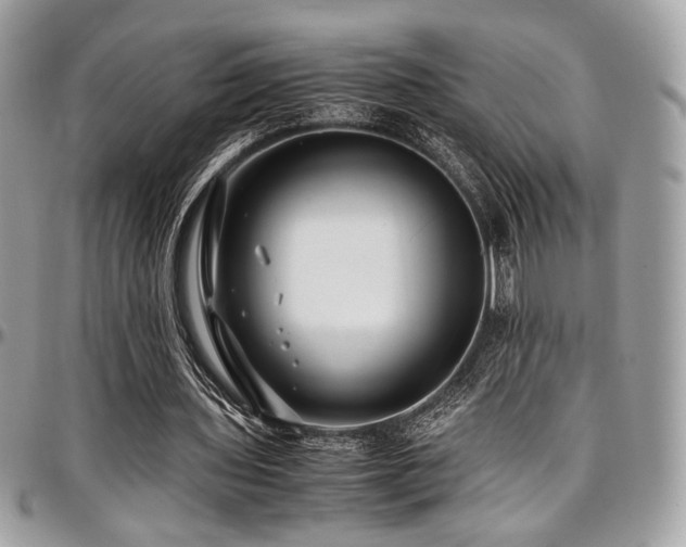 X0000097300435200802151442