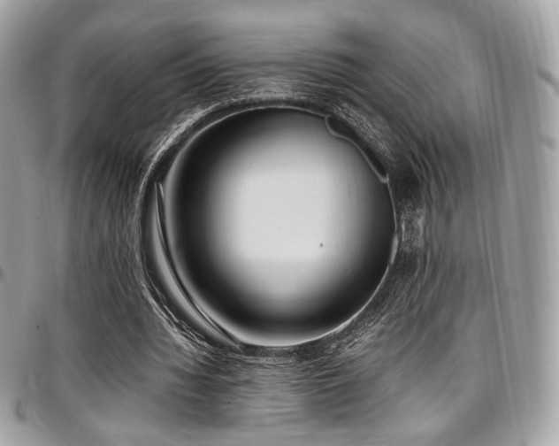 X0000097300436200802151442