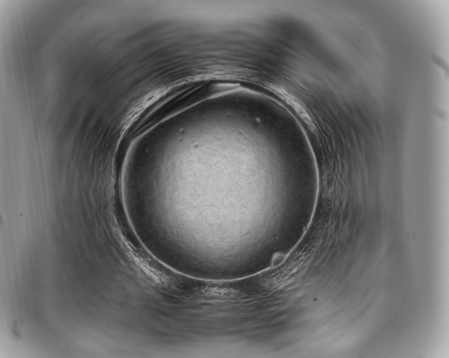 X0000097300437200802151442