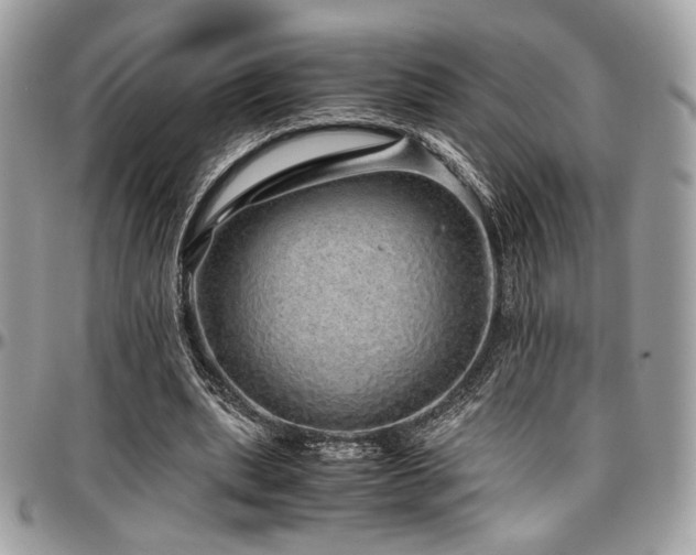 X0000097300439200802151442