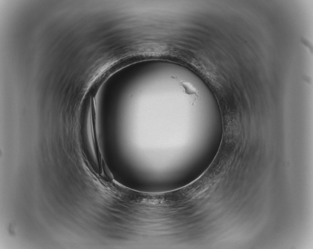 X0000097300440200802151442